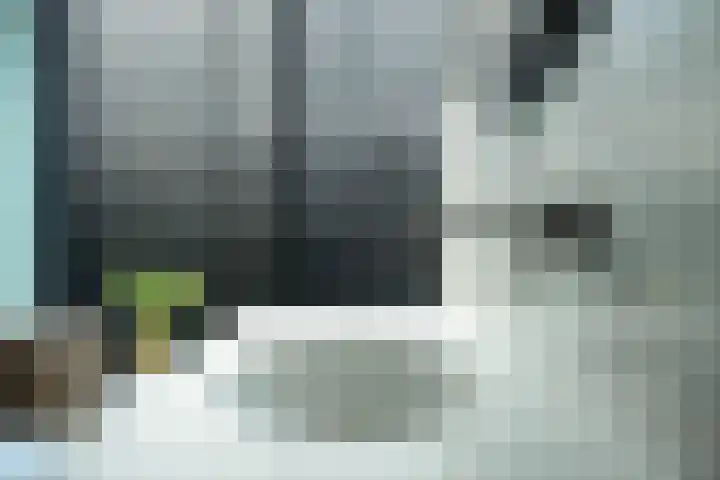 Laakweg 32 a Nijkerkerveen thumbnail 48