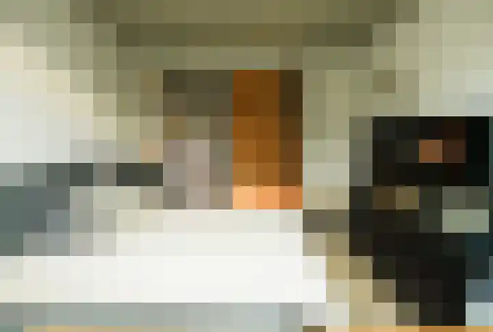 Laakweg 32 a Nijkerkerveen thumbnail 53