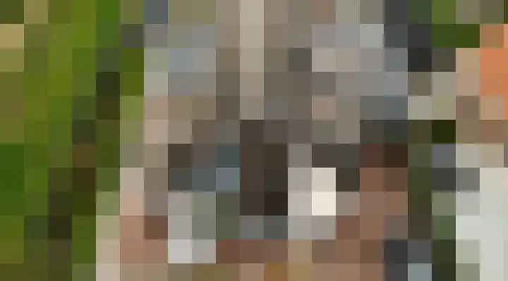 Laakweg 32 a Nijkerkerveen thumbnail 69