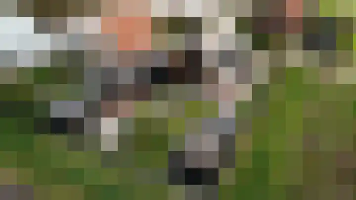 Laakweg 32 a Nijkerkerveen thumbnail 71
