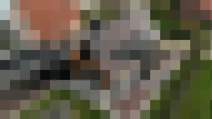 Laakweg 32 a Nijkerkerveen thumbnail 72