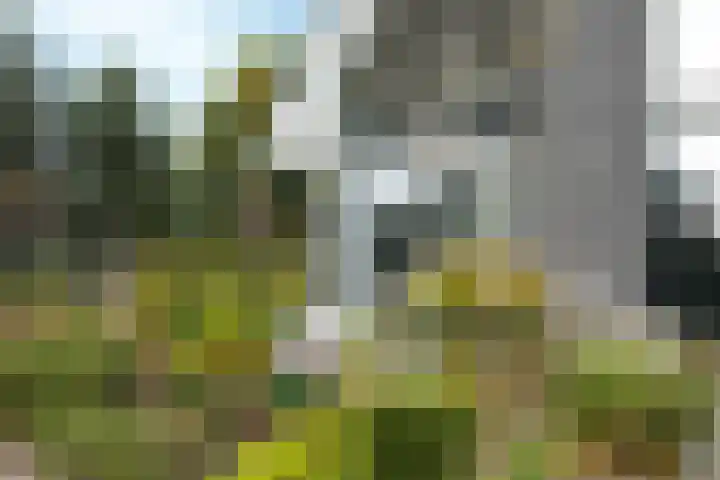 Laakweg 32 a Nijkerkerveen thumbnail 8