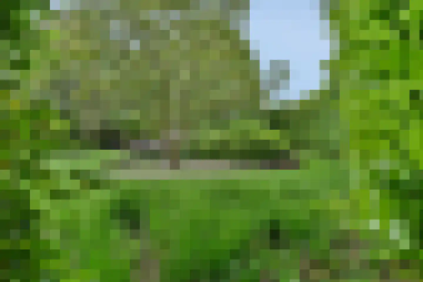 Laakweg 33 Nijkerkerveen thumbnail 12