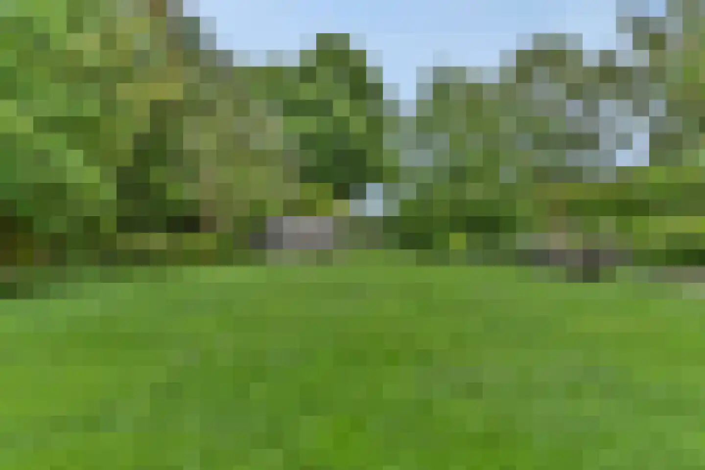 Laakweg 33 Nijkerkerveen thumbnail 17