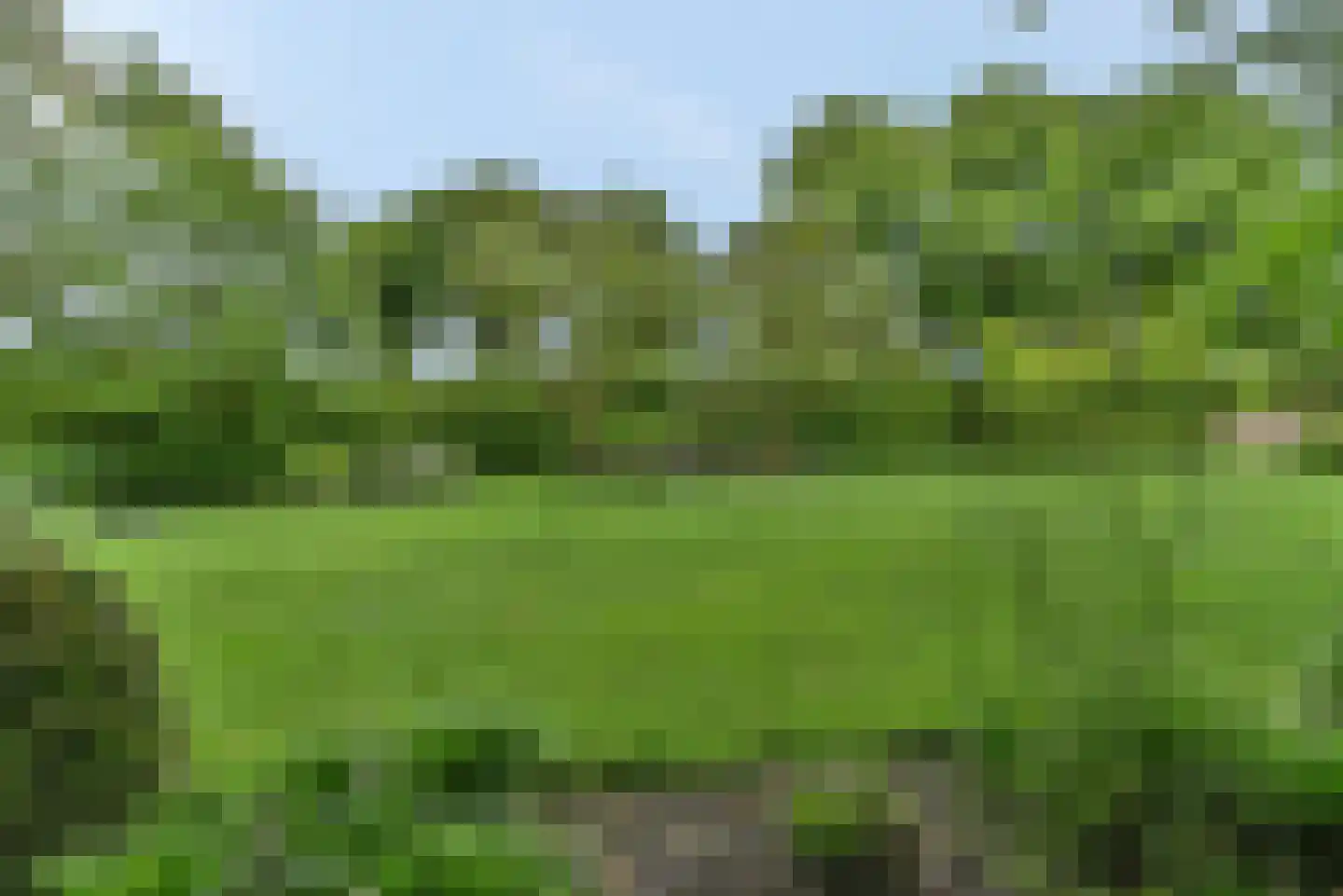 Laakweg 33 Nijkerkerveen thumbnail 18