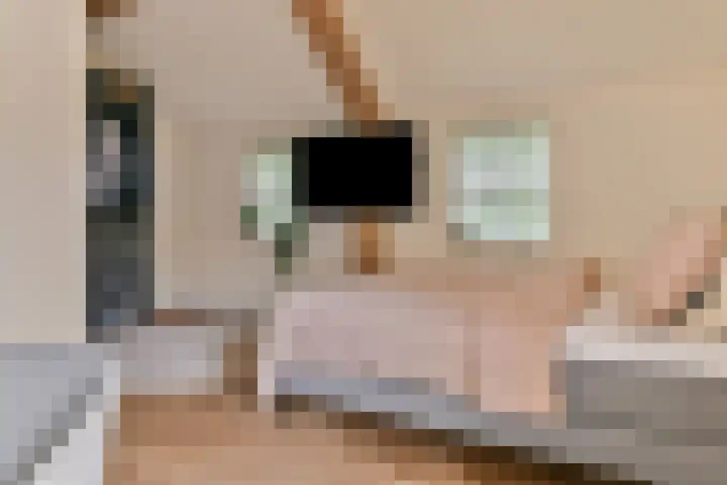 Laakweg 33 Nijkerkerveen thumbnail 27