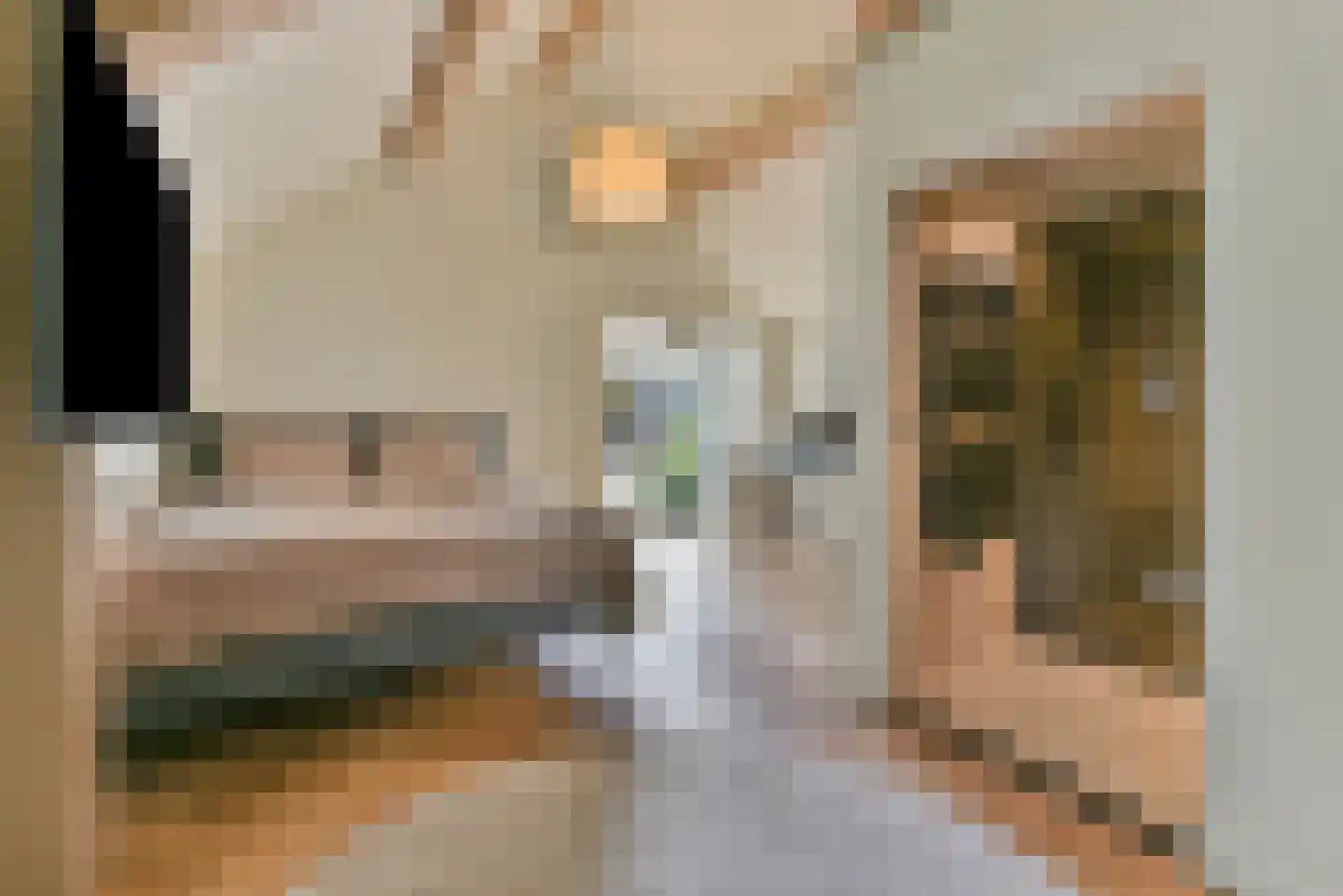 Laakweg 33 Nijkerkerveen thumbnail 28