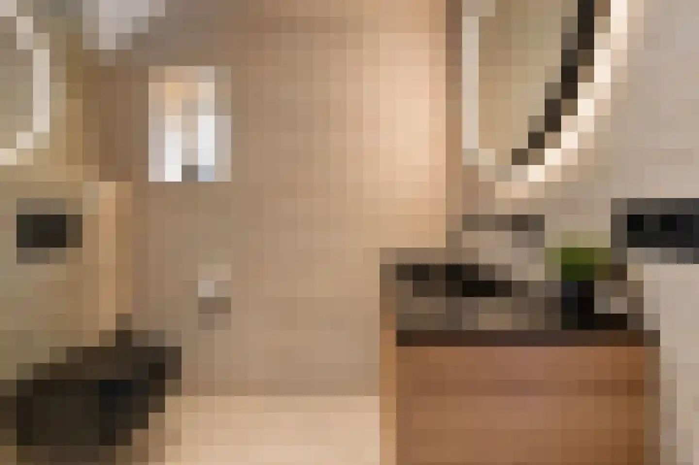 Laakweg 33 Nijkerkerveen thumbnail 29