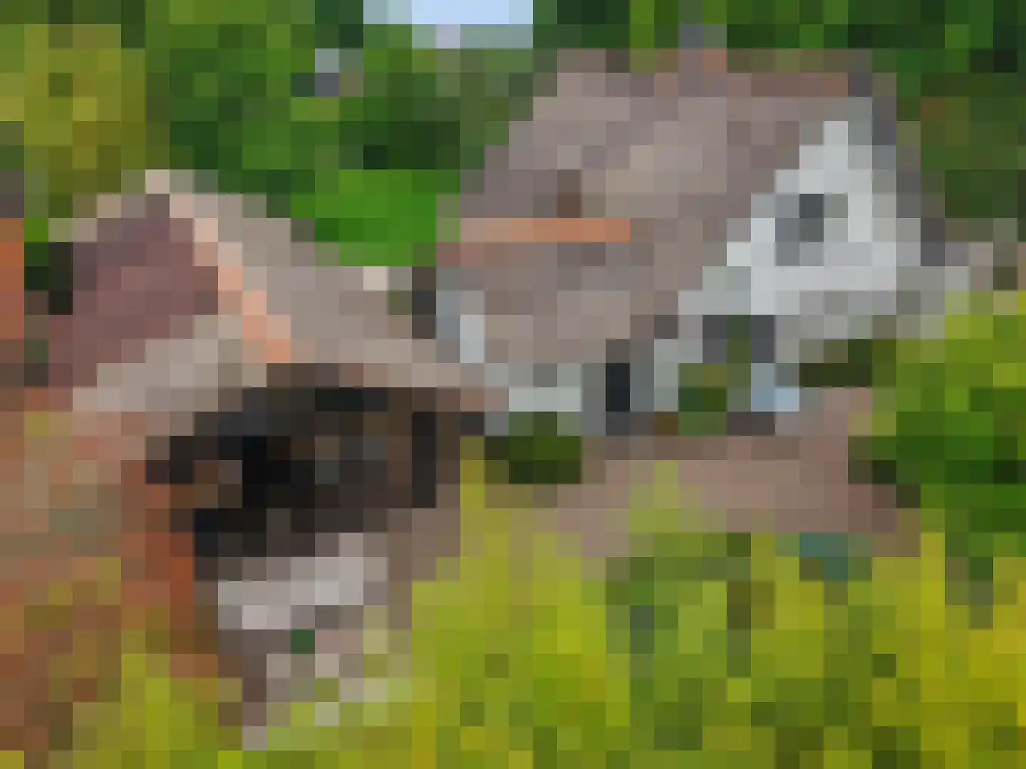 Laakweg 33 Nijkerkerveen thumbnail 40