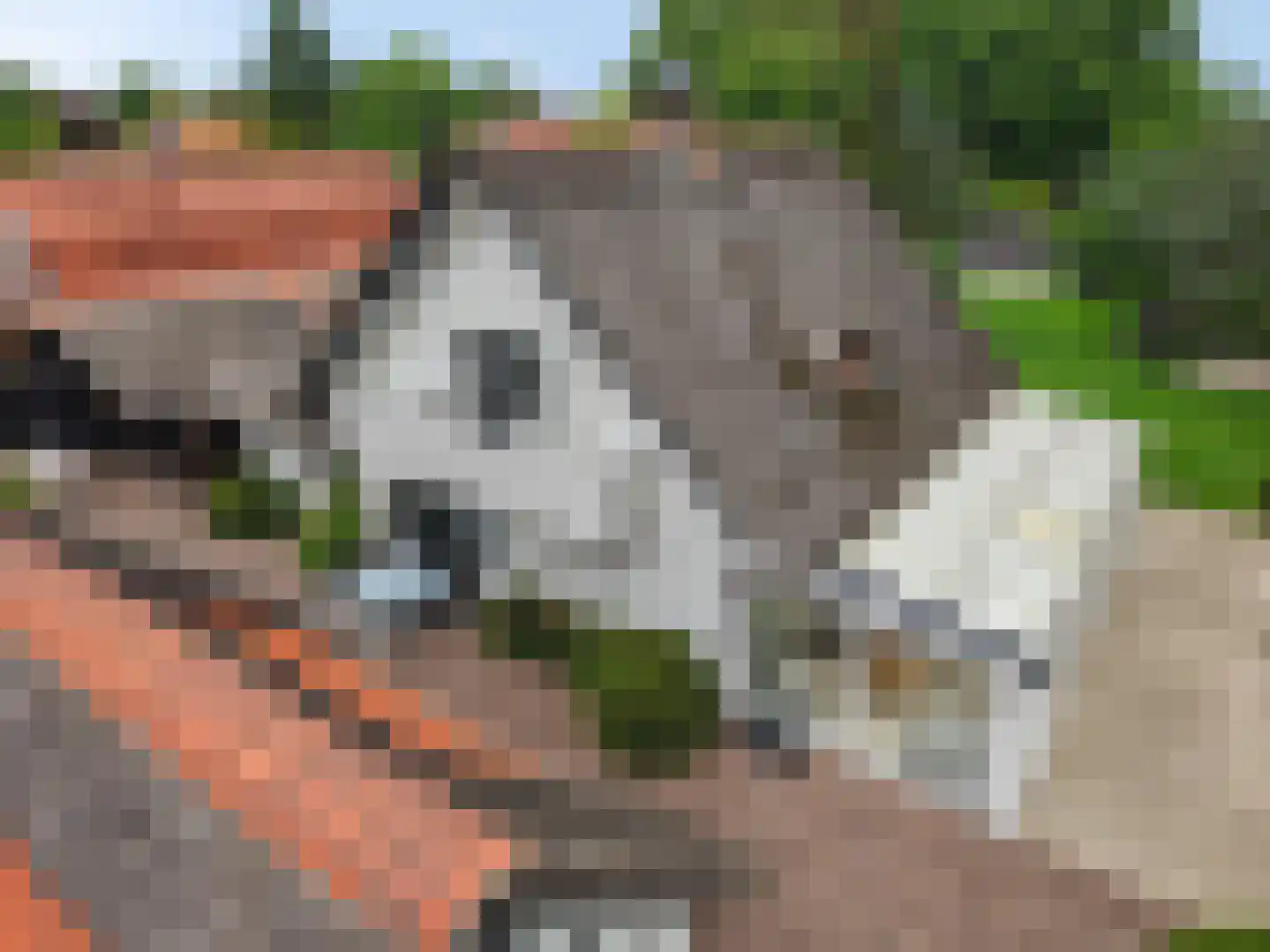 Laakweg 33 Nijkerkerveen thumbnail 41