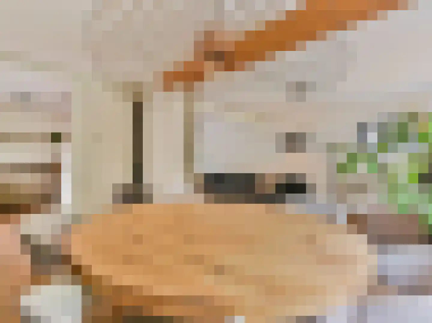 Laakweg 33 Nijkerkerveen thumbnail 45