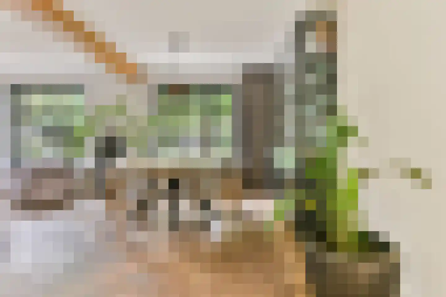 Laakweg 33 Nijkerkerveen thumbnail 46