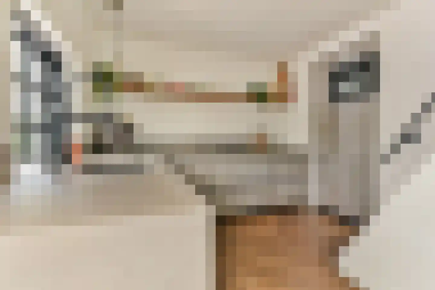 Laakweg 33 Nijkerkerveen thumbnail 47