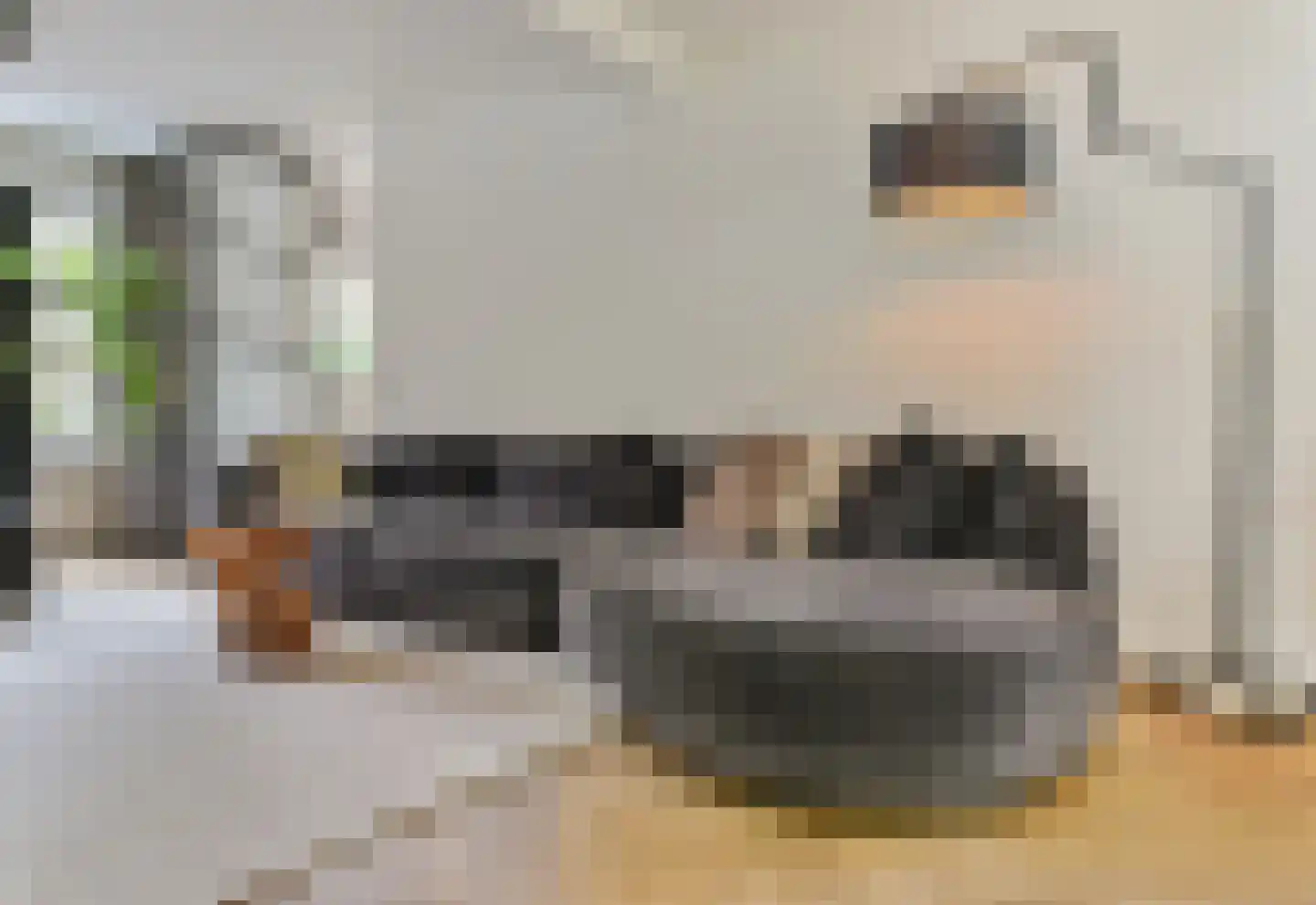 Laakweg 33 Nijkerkerveen thumbnail 5
