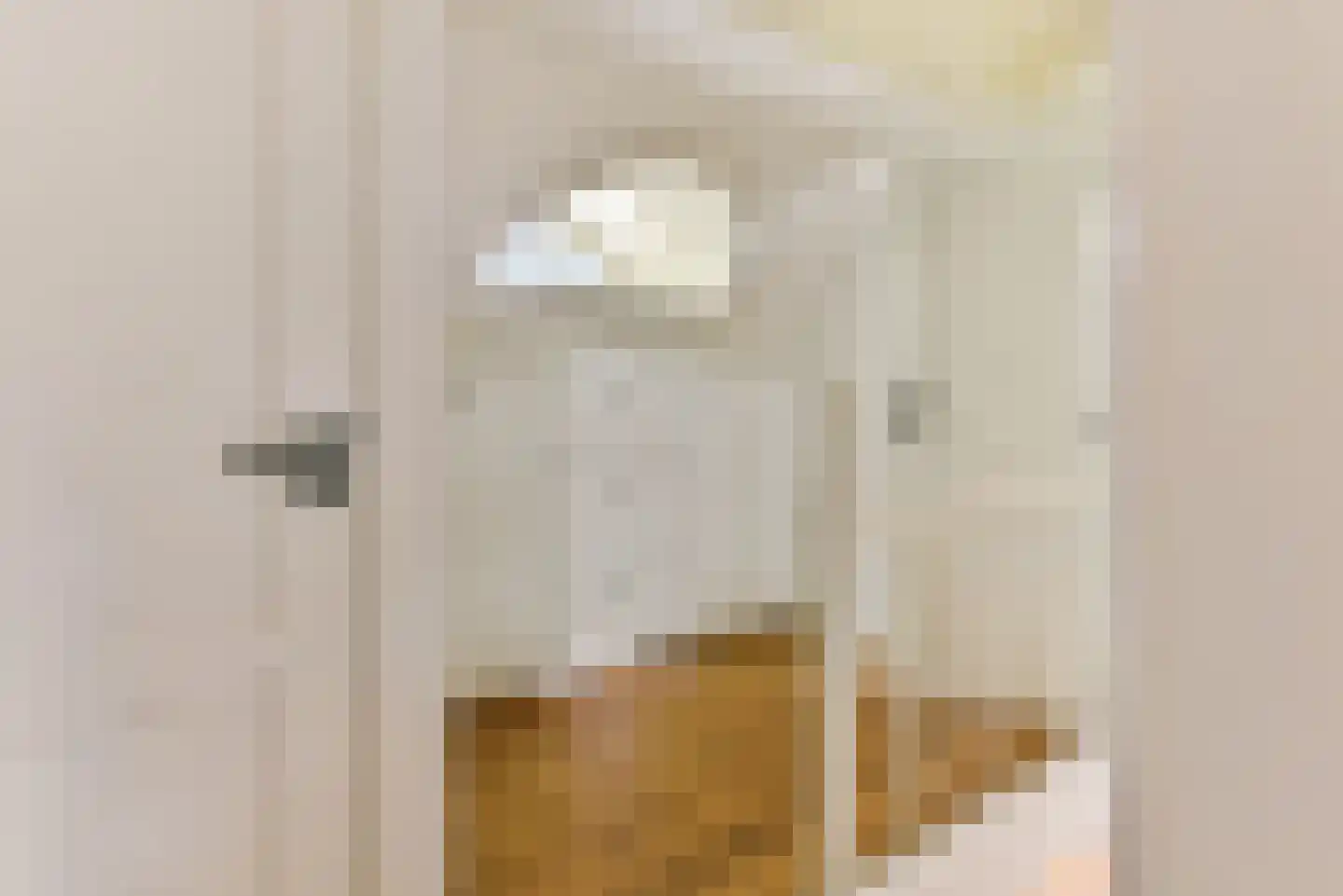 Laakweg 33 Nijkerkerveen thumbnail 53