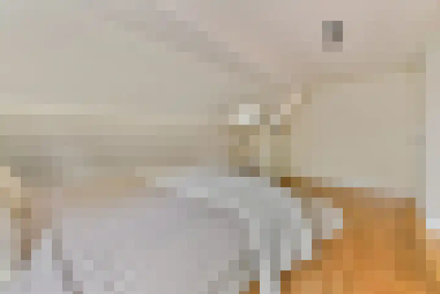 Laakweg 33 Nijkerkerveen thumbnail 55
