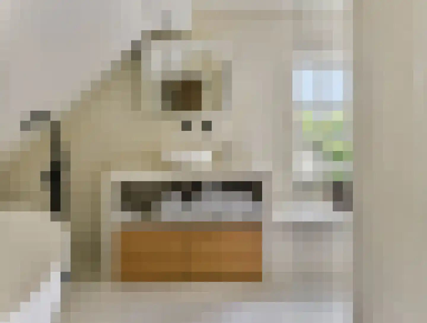 Laakweg 33 Nijkerkerveen thumbnail 56