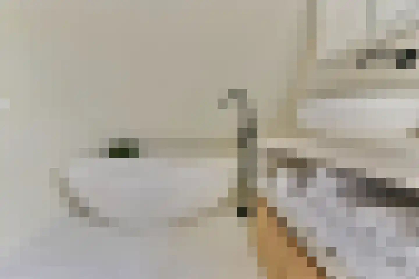 Laakweg 33 Nijkerkerveen thumbnail 59