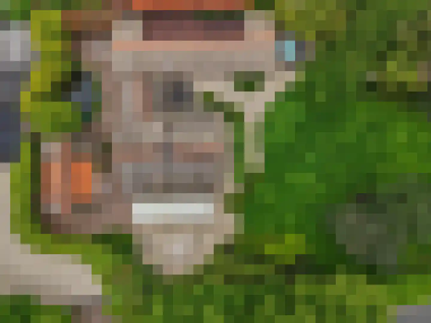 Laakweg 33 Nijkerkerveen thumbnail 66