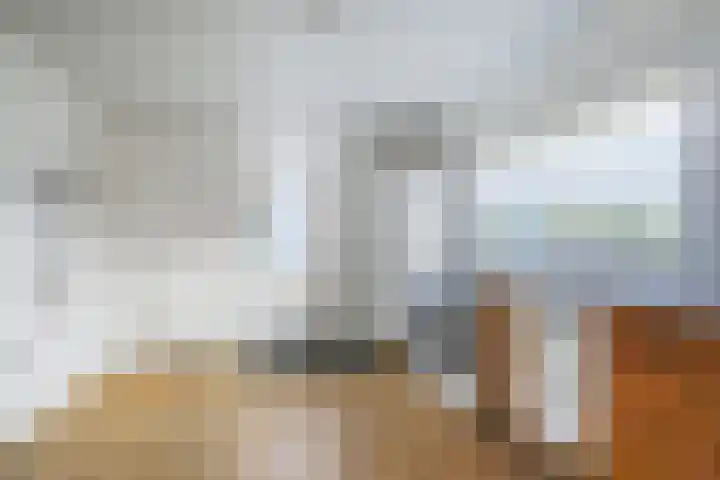 Laakweg 60 a Nijkerkerveen thumbnail 16
