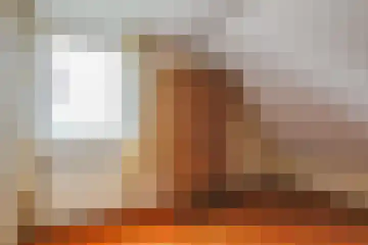 Laakweg 60 a Nijkerkerveen thumbnail 29