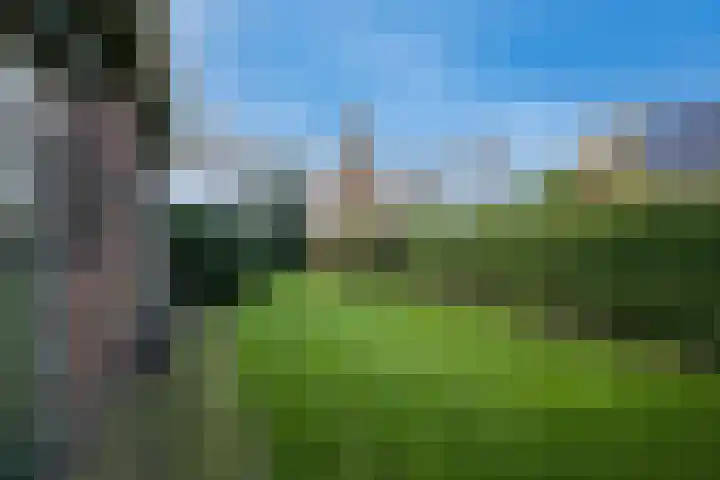 Laakweg 60 a Nijkerkerveen thumbnail 42