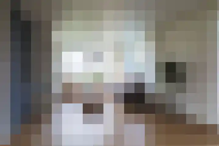 Laakweg 60 a Nijkerkerveen thumbnail 6