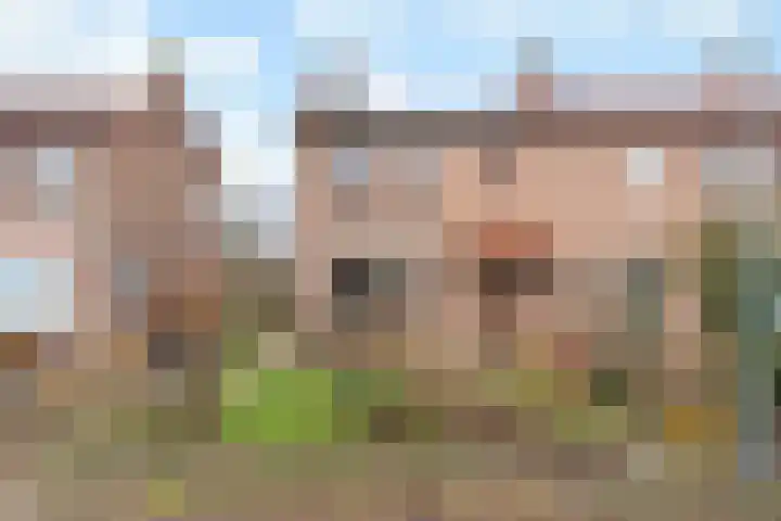 Laakweg 7 Oosterbeek thumbnail 59