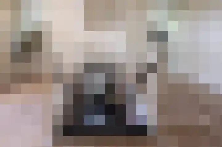 Laakweg 7 Rheden thumbnail 12
