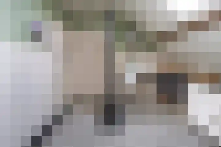 Laakweg 7 Rheden thumbnail 17