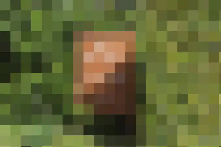 Laakweg 7 Rheden thumbnail 19