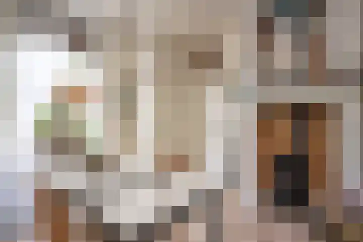 Laakweg 7 Rheden thumbnail 21
