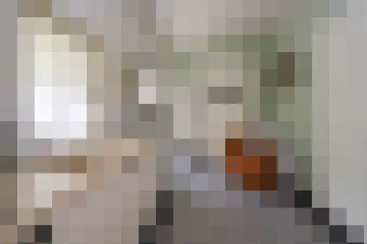 Laakweg 7 Rheden thumbnail 23