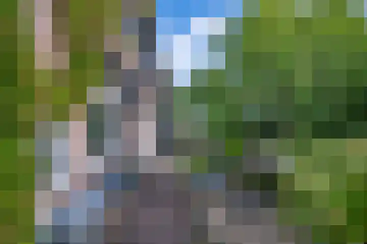 Laakweg 7 Rheden thumbnail 26