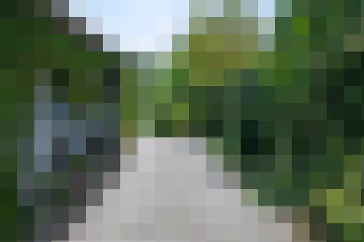 Laakweg 7 Rheden thumbnail 28