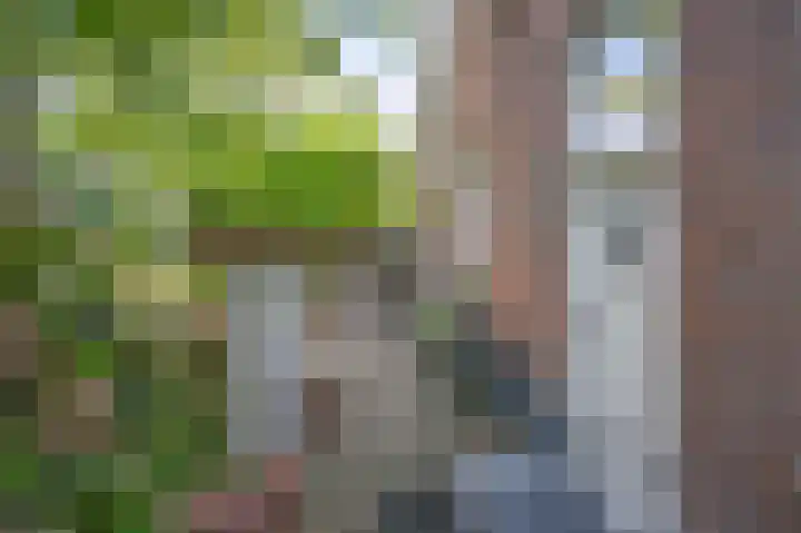 Laakweg 7 Rheden thumbnail 31