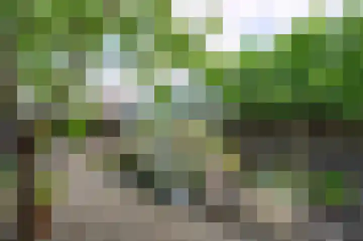 Laakweg 7 Rheden thumbnail 32