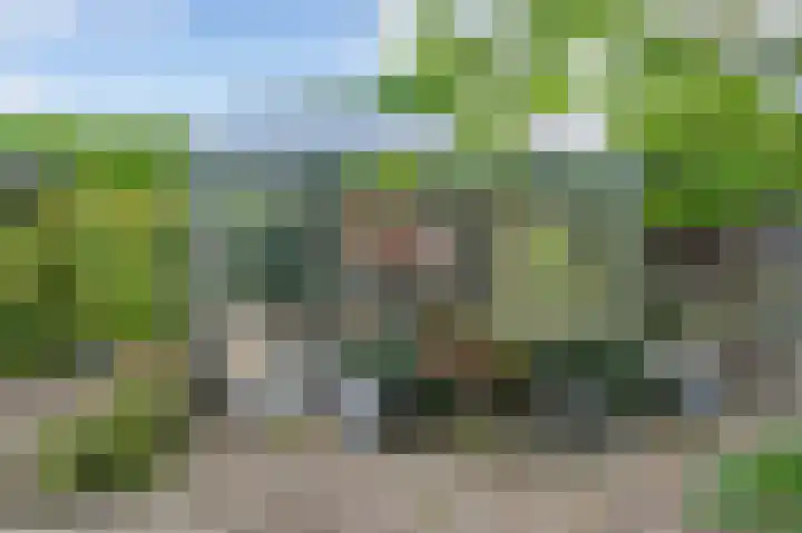 Laakweg 7 Rheden thumbnail 34