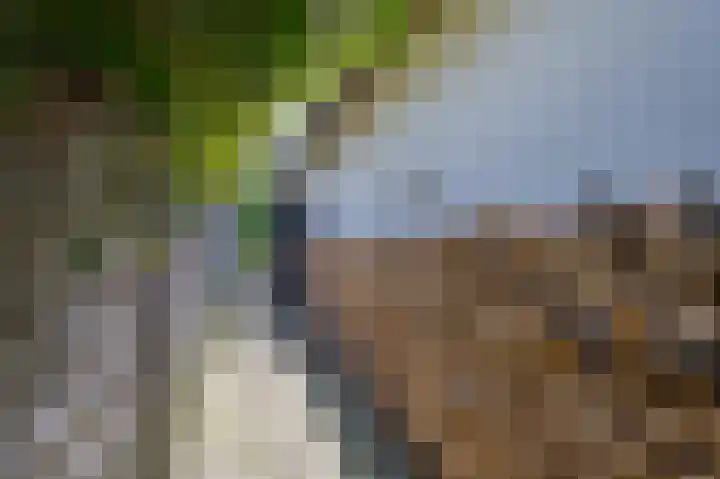 Laakweg 7 Rheden thumbnail 39