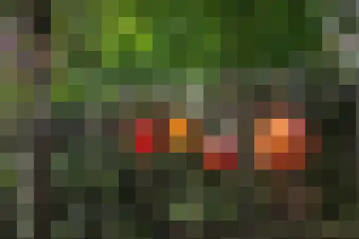 Laakweg 7 Rheden thumbnail 41