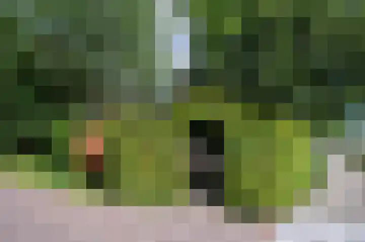 Laakweg 7 Rheden thumbnail 42