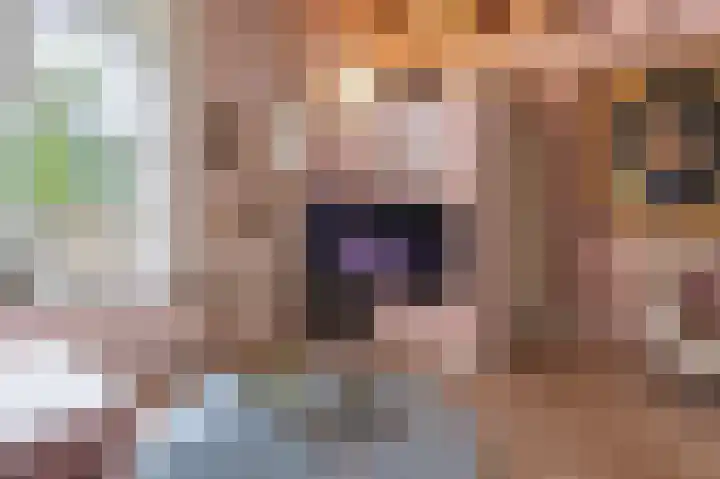 Laakweg 7 Rheden thumbnail 6