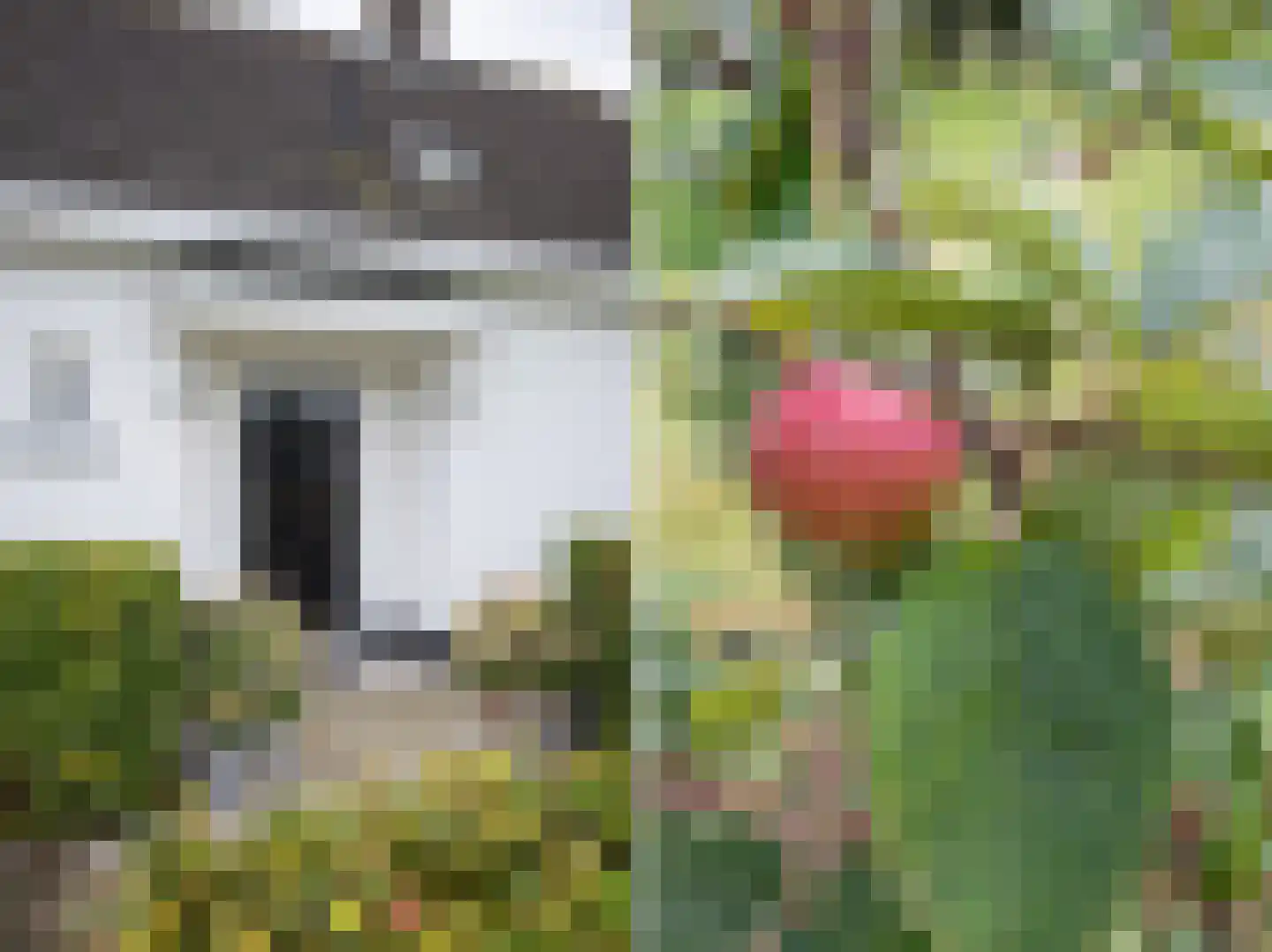 Laakweg 78 b Nijkerkerveen thumbnail 24