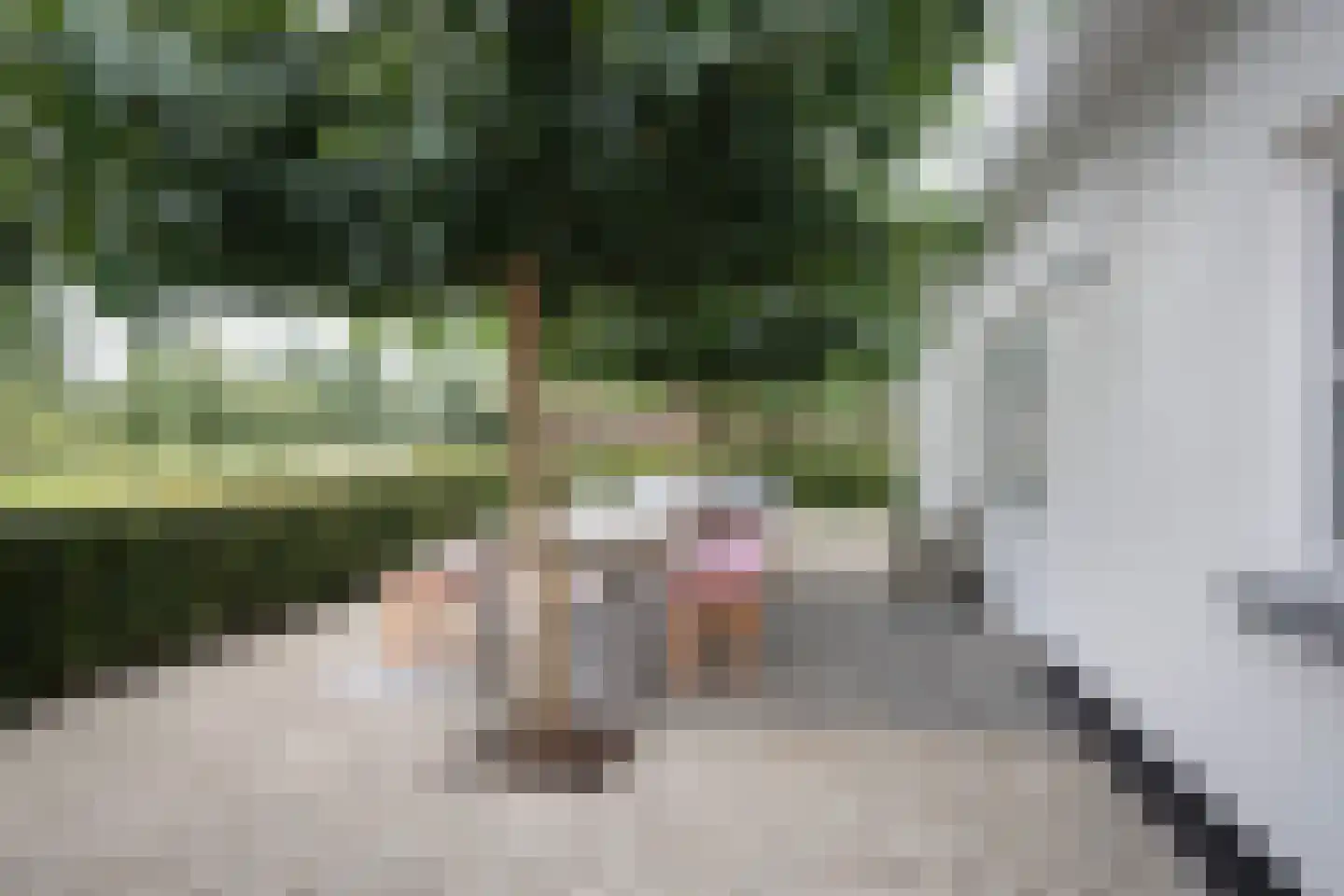 Laakweg 78 b Nijkerkerveen thumbnail 27