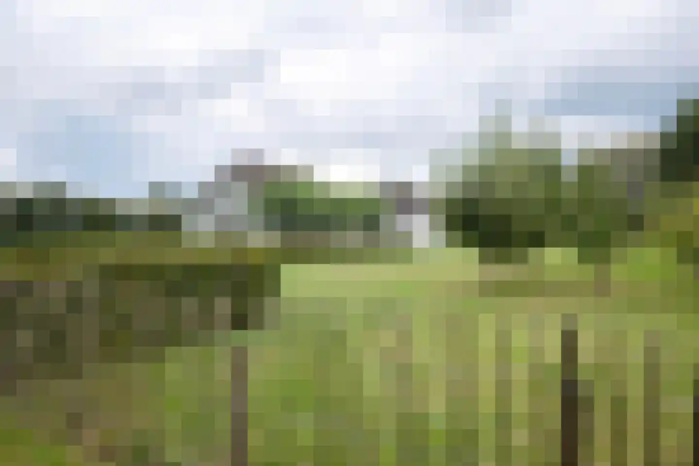 Laakweg 78 b Nijkerkerveen thumbnail 28