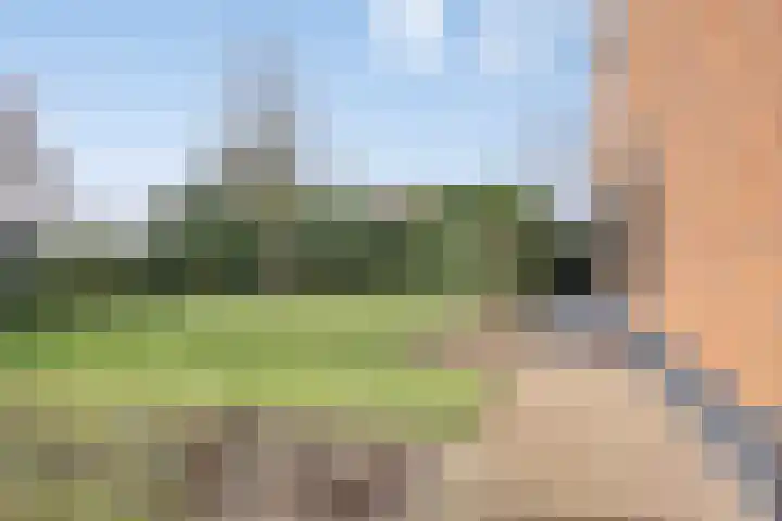 Laakweg 94 Nijkerkerveen thumbnail 50