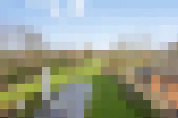 Laakweg 94 Nijkerkerveen thumbnail 54