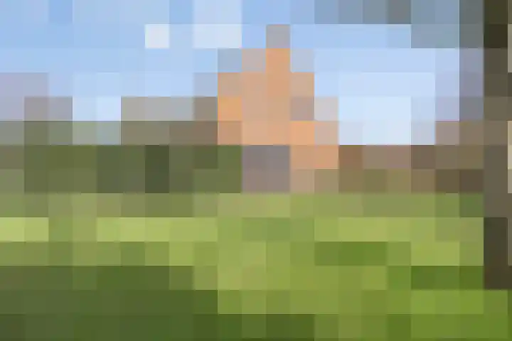 Laakweg 94 Nijkerkerveen thumbnail 57