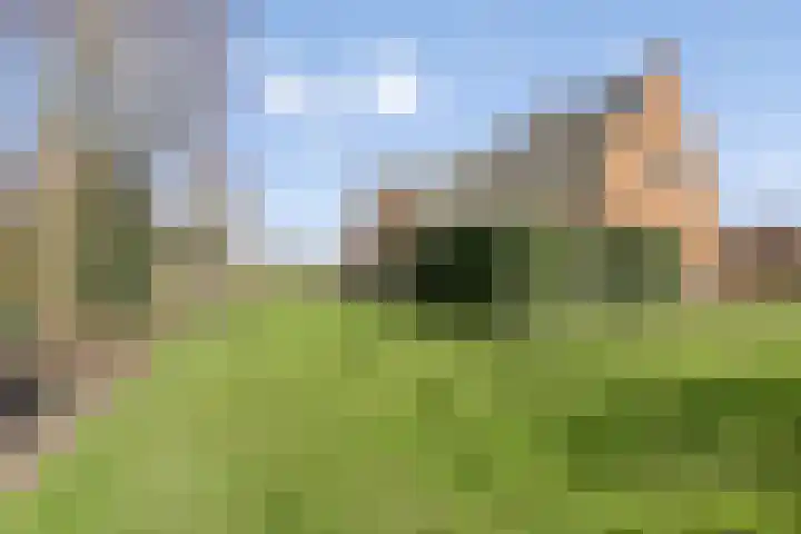Laakweg 94 Nijkerkerveen thumbnail 59