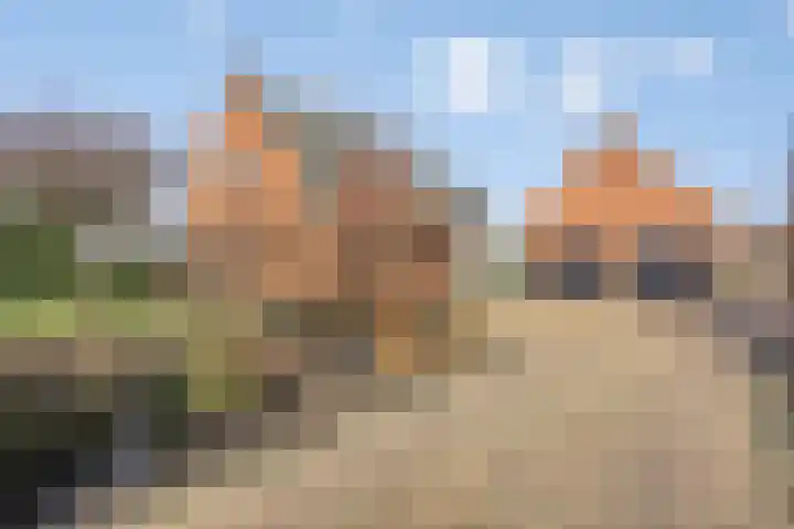 Laakweg 94 Nijkerkerveen thumbnail 61